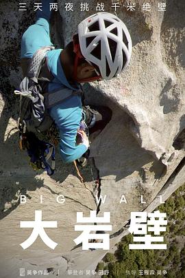 大岩壁封面图