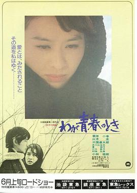 我们的青春时代封面图