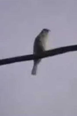 Then a Year封面图