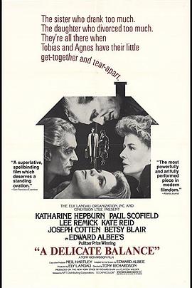 微妙的平衡封面图