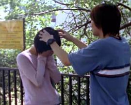 她的耳环封面图