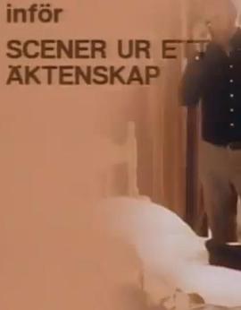 介绍《婚姻生活》封面图