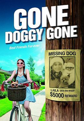 狗狗失踪了封面图