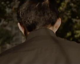 西湖与塞纳河封面图