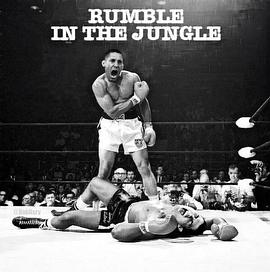 USA vs Portugal封面图