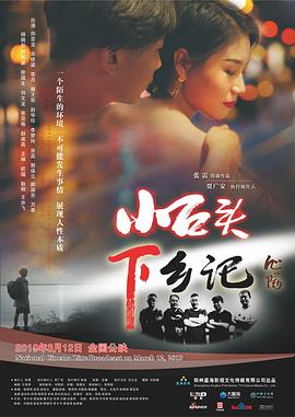 小石头下乡记封面图