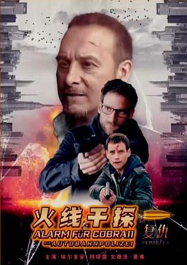 火线干探之复仇封面图