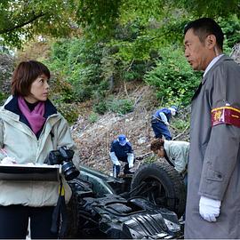 科搜研之女2013特别篇封面图