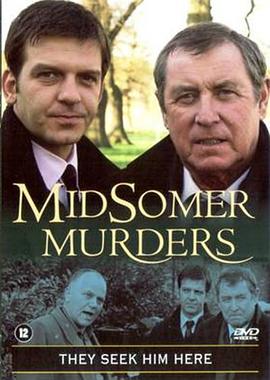 红花侠谜案封面图