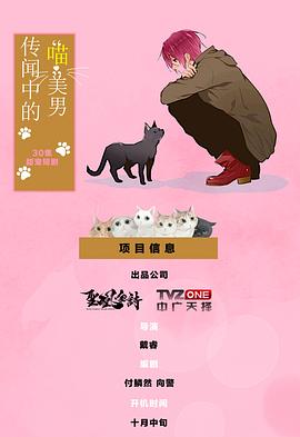 传闻中的喵美男封面图