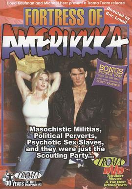 美国要塞封面图