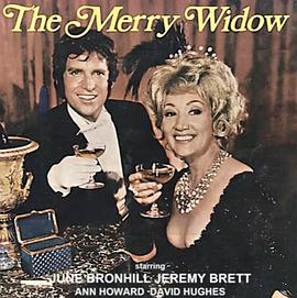 风流寡妇封面图