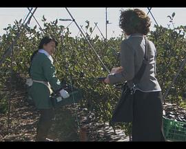 新·调停交涉人 秘密档案封面图