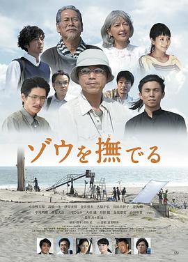 抚摸大象封面图