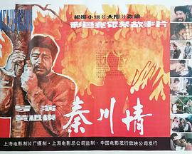 秦川情封面图