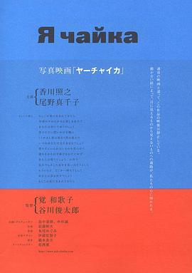 我是海鸥封面图