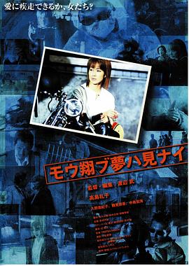 飞翔的梦封面图