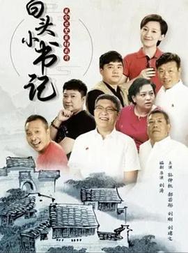 白头小书记封面图