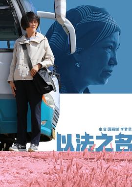 以法之名封面图