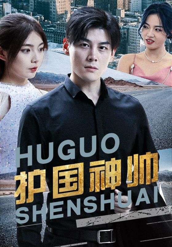 护国神帅封面图