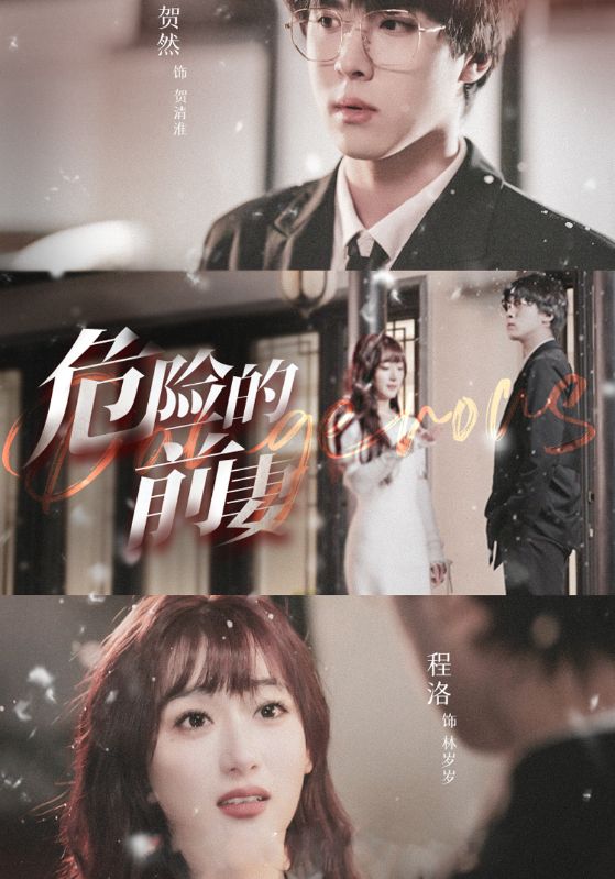 危险的前妻封面图