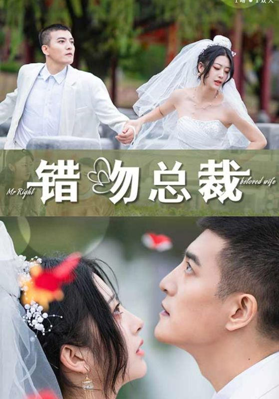 错吻总裁封面图