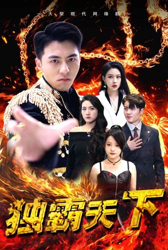 独霸天下封面图