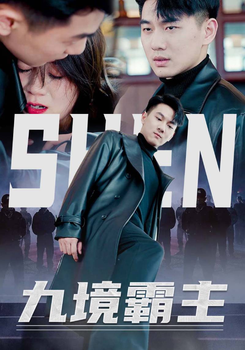 九境霸主封面图