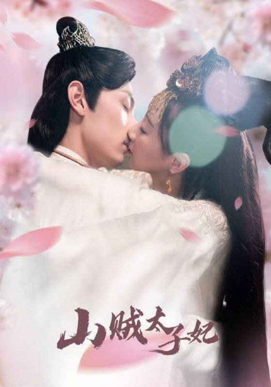 山贼太子妃封面图