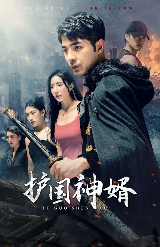 护国神婿封面图