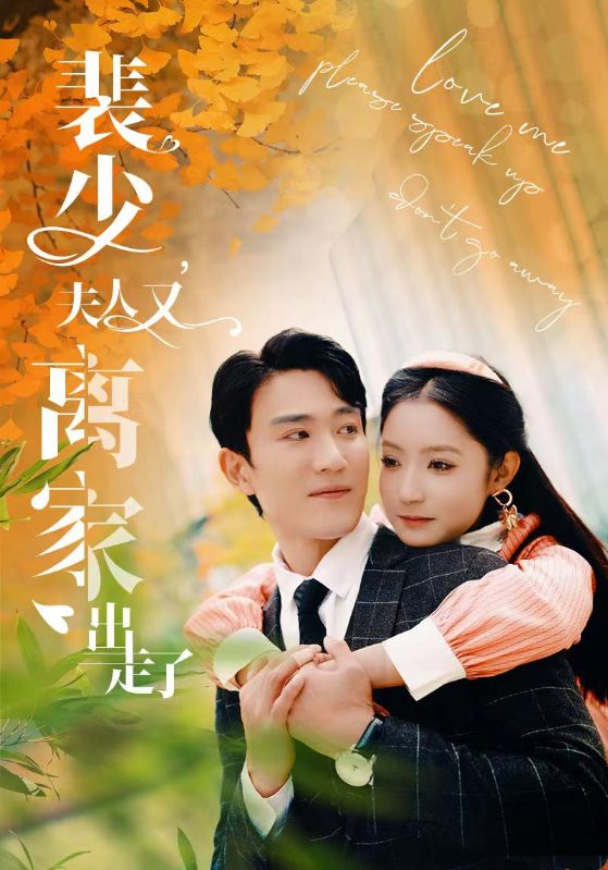 裴少，夫人又离家出走了封面图