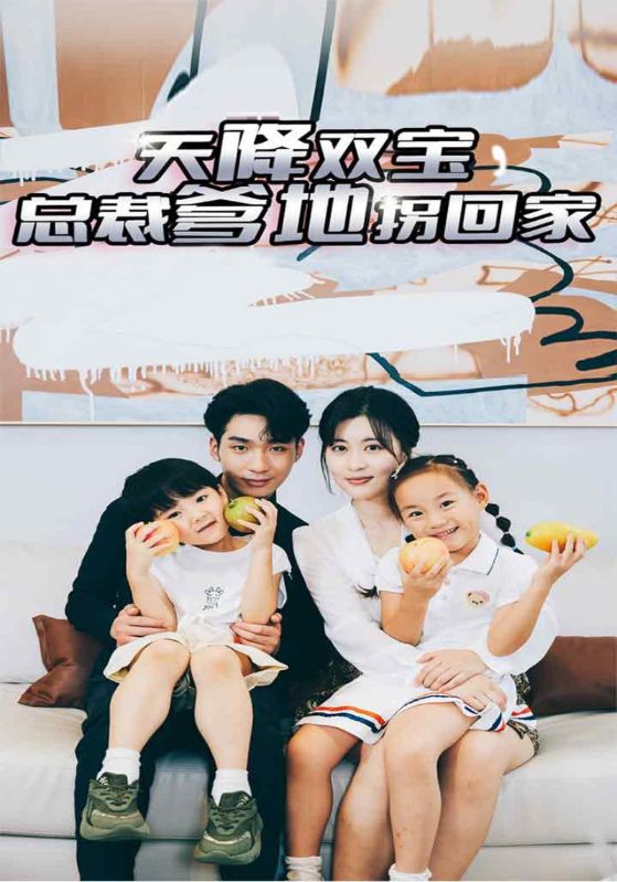 天降双宝，总裁爹地拐回家封面图