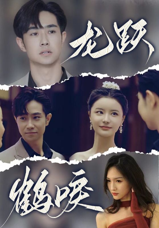 龙跃鹤唳封面图