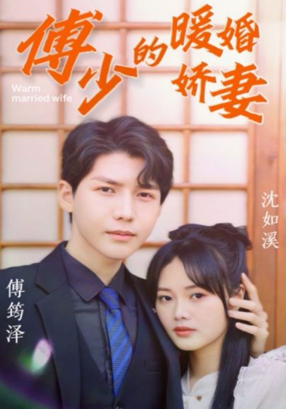 傅少的暖婚娇妻封面图