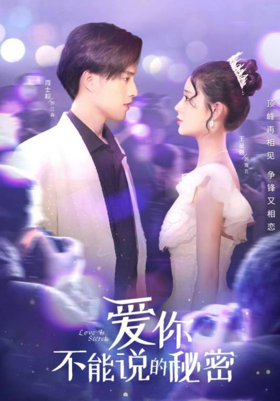 爱你·不能说的秘密封面图