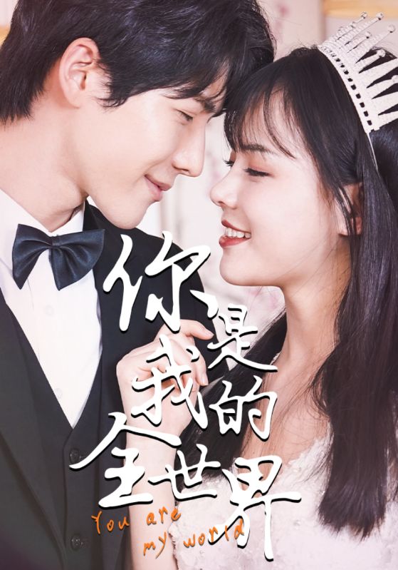 你是我的全世界封面图