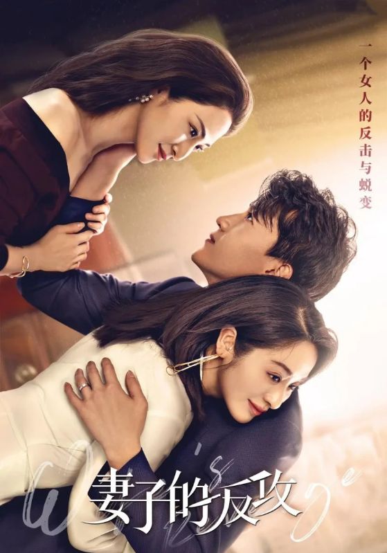 妻子的反攻封面图