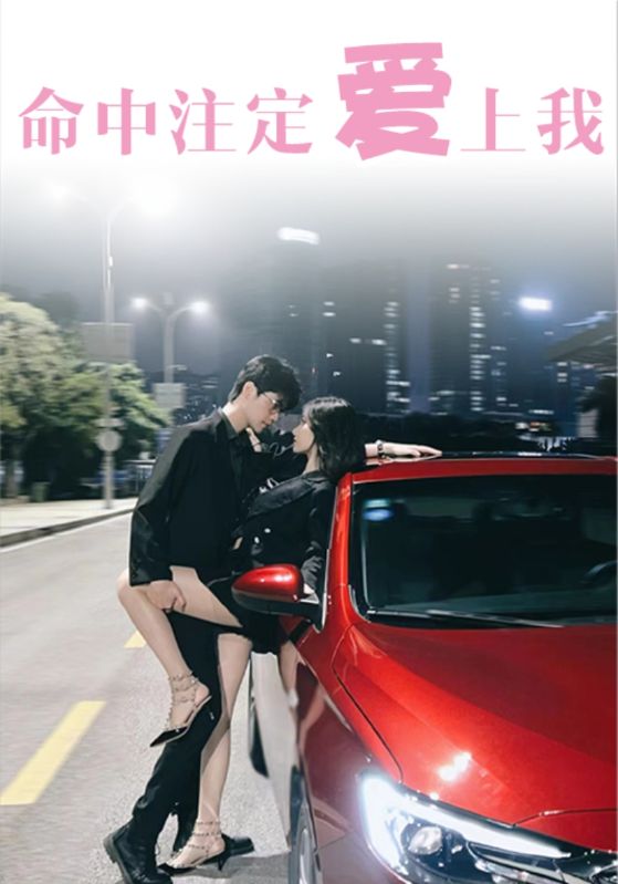 命中注定爱上我封面图