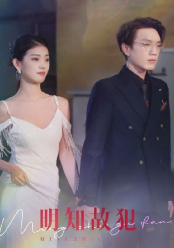 明知故犯封面图