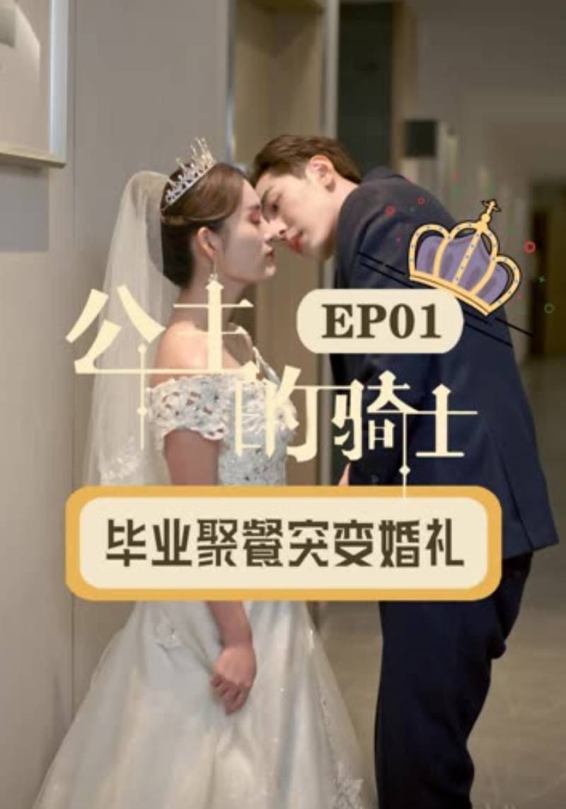 公主的骑士封面图