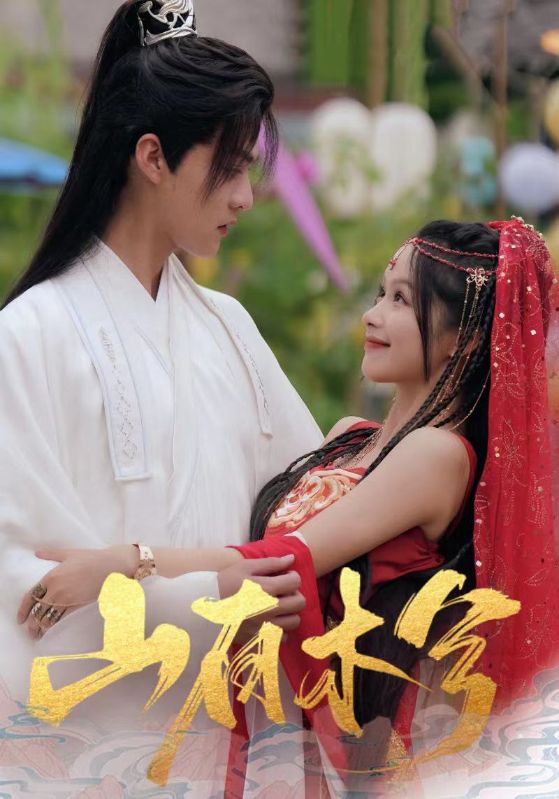 山有木兮封面图