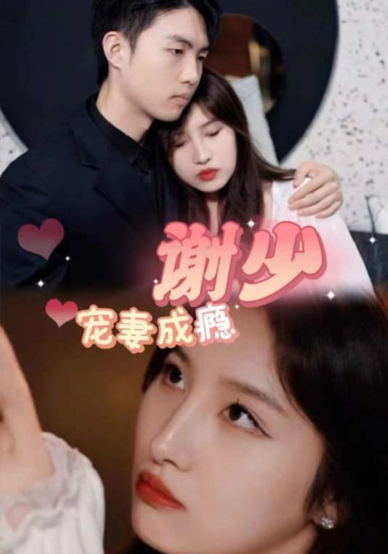 谢少宠妻成瘾封面图