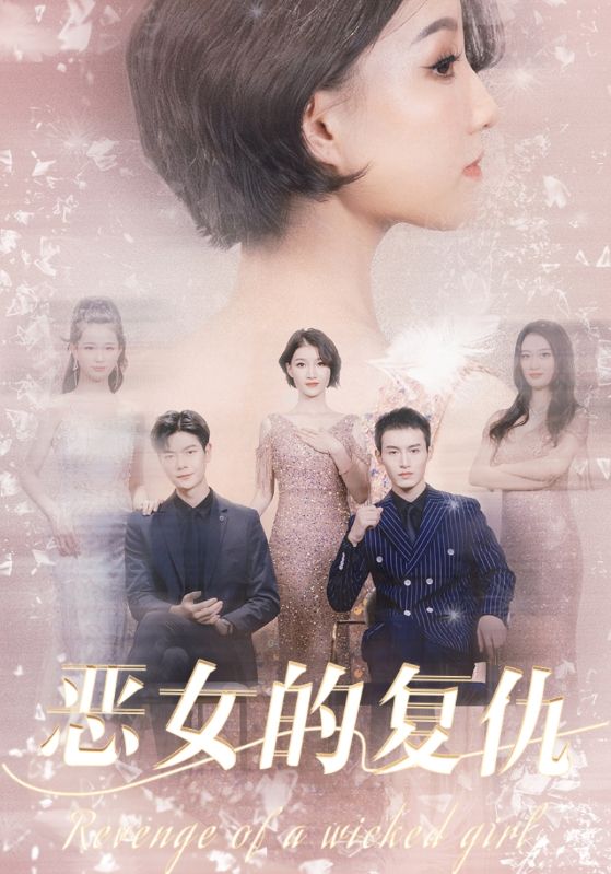 恶女的复仇封面图