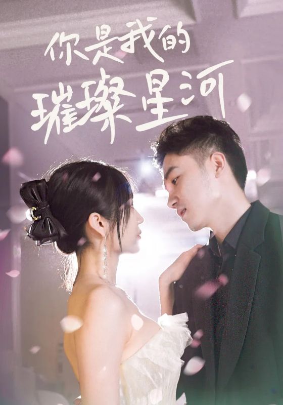 你是我的璀璨星河封面图