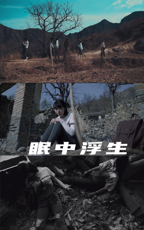 眠中浮生封面图