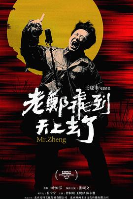 老郑飞到天上去了封面图