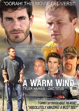 温暖的风封面图