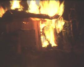 レベル7   α封面图