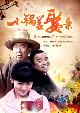 小锅盖娶亲封面图