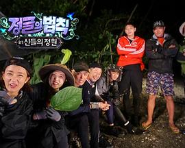 丛林的法则：斐济篇封面图